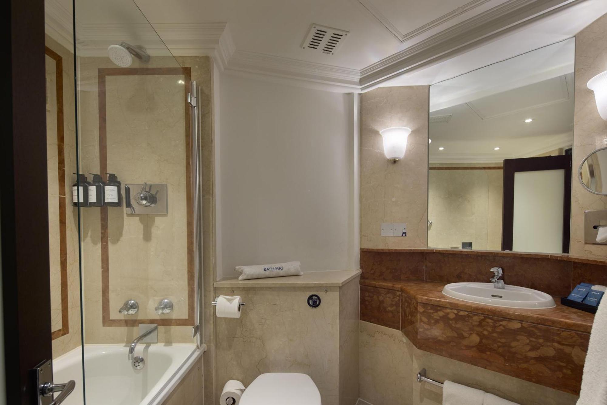 Standard Double Room London Eye View
